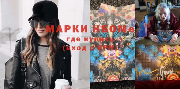 соль ск Дмитриев