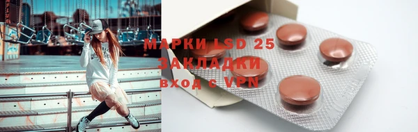 ГАЛЛЮЦИНОГЕННЫЕ ГРИБЫ Баксан