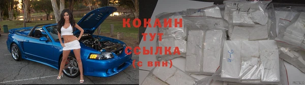 твердый Балахна