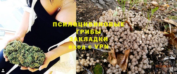 твердый Балахна