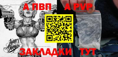 индика Гатчина