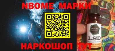 индика Гатчина