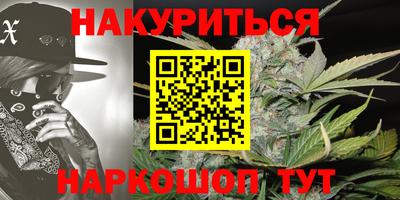 индика Гатчина