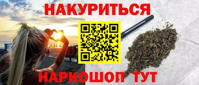 индика Гатчина