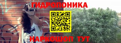 индика Гатчина