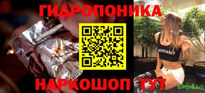 индика Гатчина