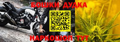 индика Гатчина
