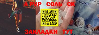 индика Гатчина