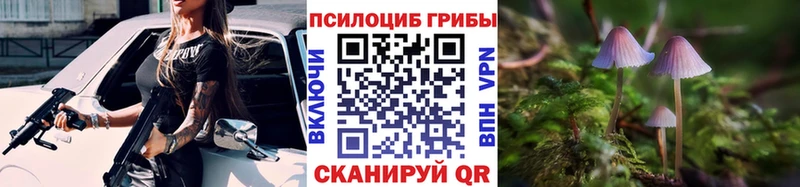 Галлюциногенные грибы Psilocybe  Кувандык 