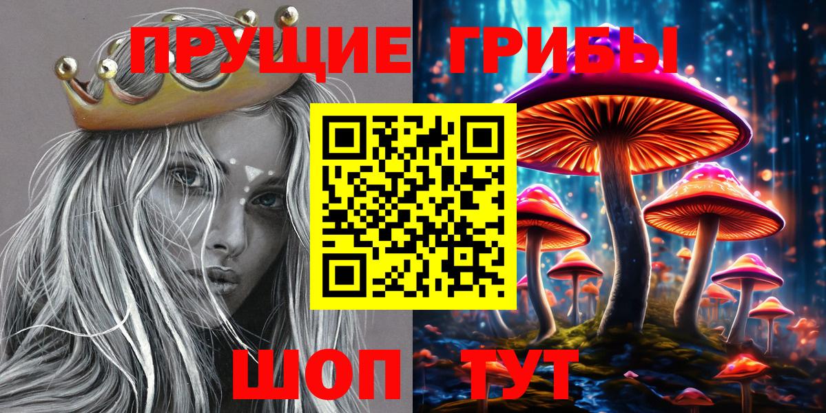 что такое наркотик  Вход с VPN  Псилоцибиновые грибы Psilocybe  Кувандык  Псилоцибиновые грибы Psilocybe 