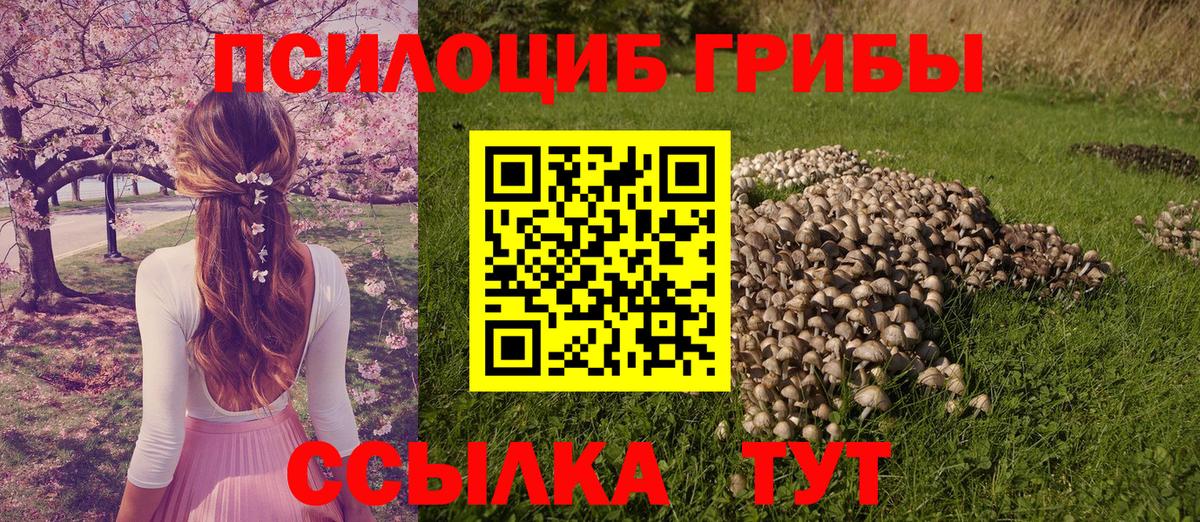 Псилоцибиновые грибы Cubensis Кувандык